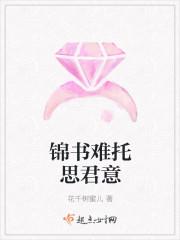 锦书难托思君意