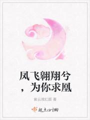 凤飞翱翔兮,为你求凰