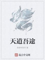 天道吾途