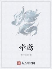 牵鸢