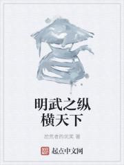 明武之纵横天下