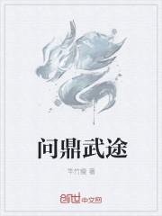 问鼎武途