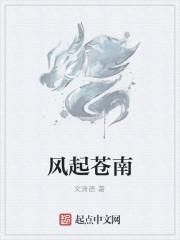 风起苍南