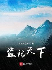 盗记天下