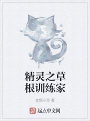 精灵之草根训练家