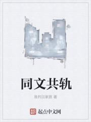 同文共轨