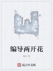 编导两开花