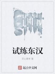 试练东汉