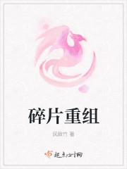碎片重组