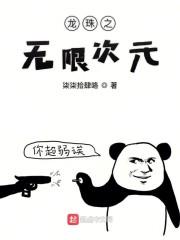 龙珠之无限次元
