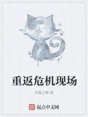 重返危机现场