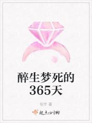 醉生梦死的365天