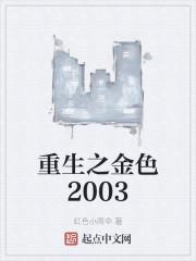 重生之金色2003