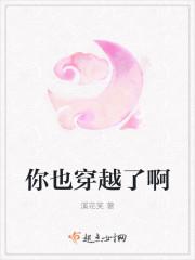 你也穿越了啊