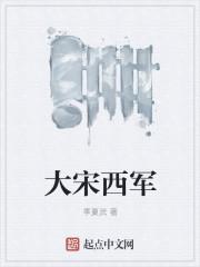 大宋西军