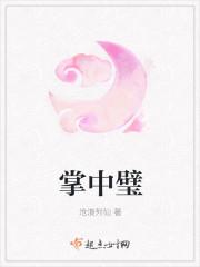 掌中璧