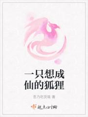 一只想成仙的狐狸