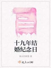 十九年结婚纪念日