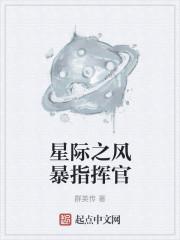 星际之风暴指挥官