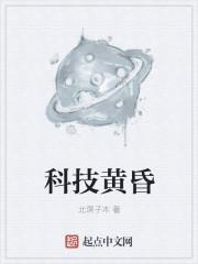 科技黄昏