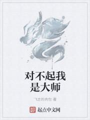 对不起我是大师