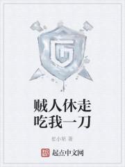 贼人休走吃我一刀