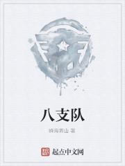 八支队