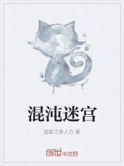 混沌迷宫