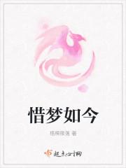 惜梦如今