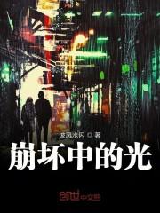 崩坏中的光