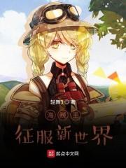 海贼王：征服新世界
