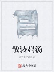 散装鸡汤