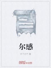 尔感