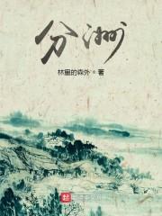分洲