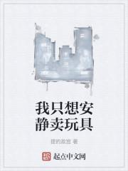 我只想安静卖玩具