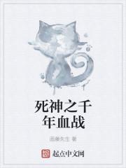 死神之千年血战