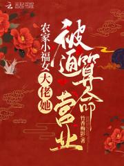 农家小福女:大佬她被迫算命营业