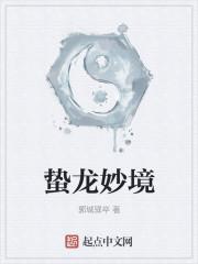 蛰龙妙境