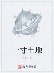 一寸土地