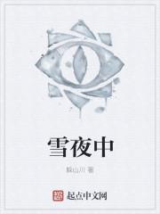 雪夜中