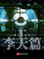 真正的游戏李天篇