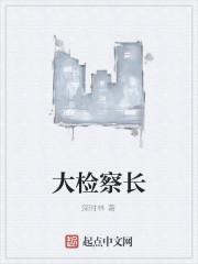 大检察长