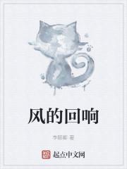 风的回响