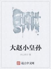 大赵小皇孙