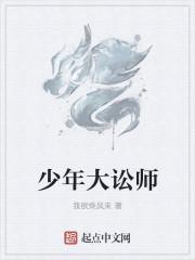 少年大讼师