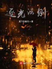 逐光法则