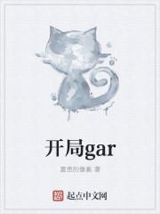 开局gar