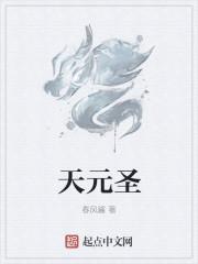 天元圣