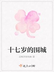 十七岁的围城