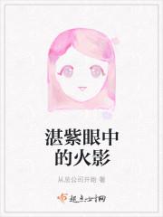 湛紫眼中的火影